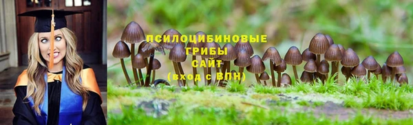 мяу мяу мука Сафоново