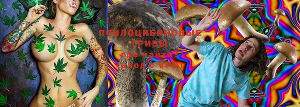 мяу мяу мука Сафоново