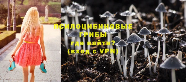 PSILOCYBIN Ростов