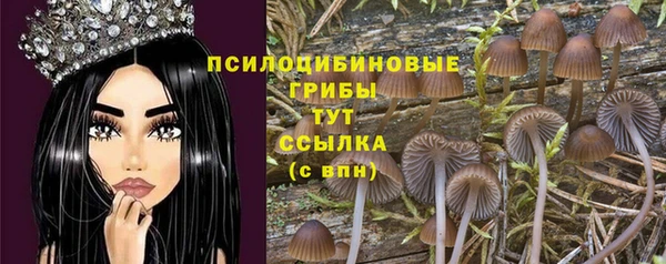 гидра Рославль