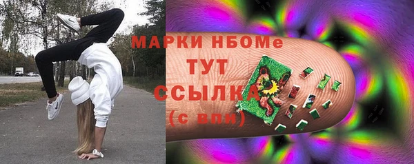 гидра Рославль