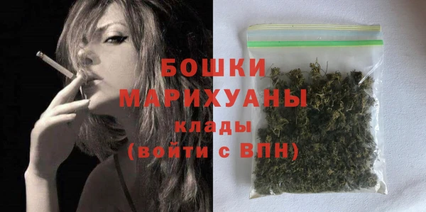 прущие грибы Саяногорск