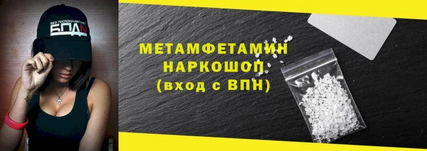 прущие грибы Саяногорск