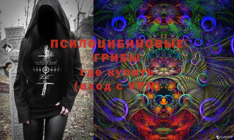 Галлюциногенные грибы Cubensis  Семилуки 